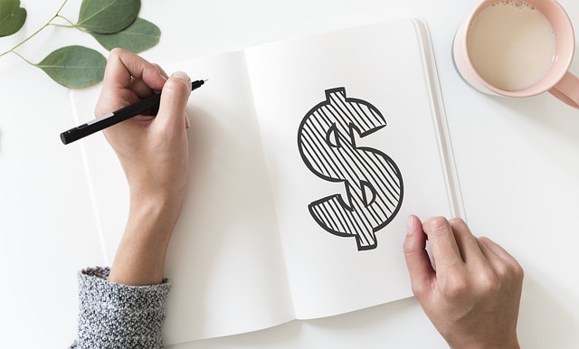 Hand drawing a dollar sign in a notebook